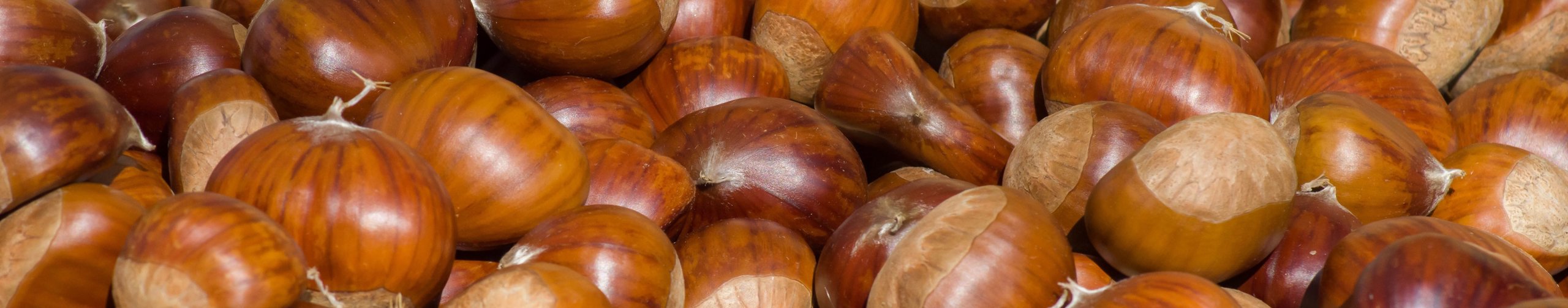 marroni2